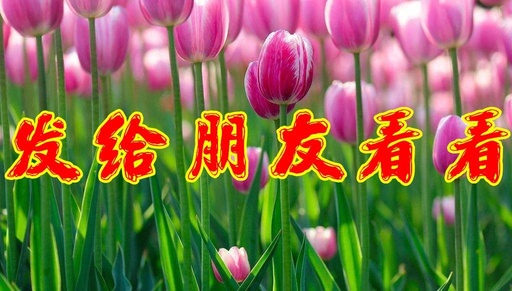 剛出開心的秘方，送給你！