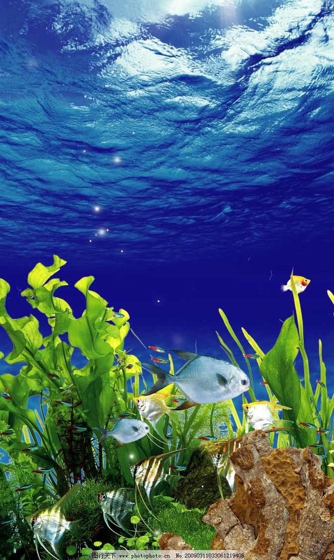 宝德福蒸汽海鲜