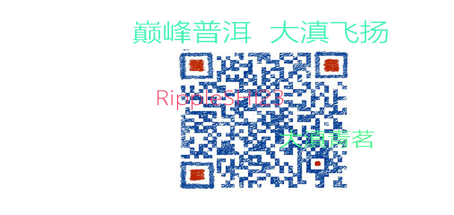 大滇微视