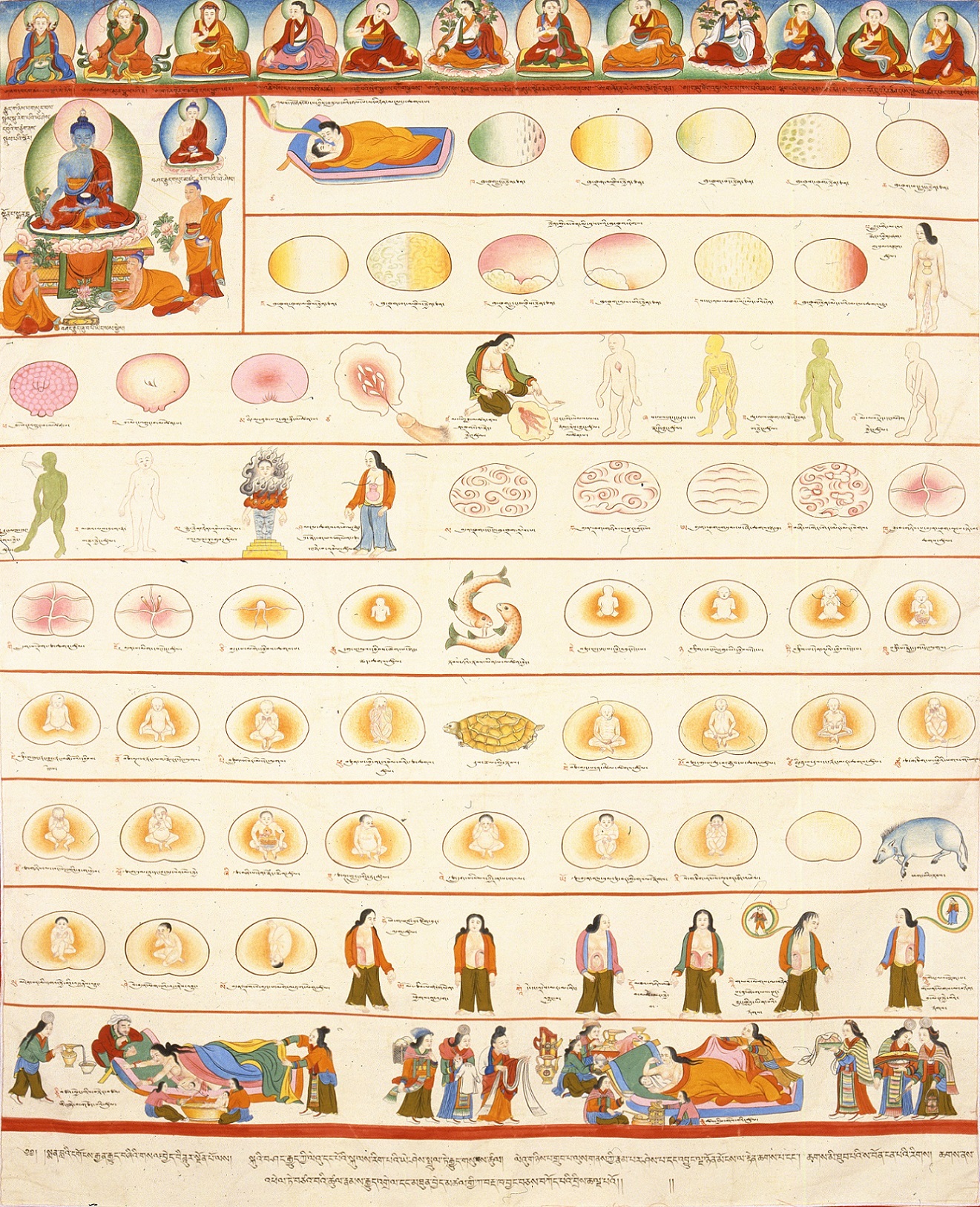 博大精深的藏医药文化（12）