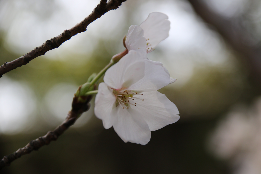 花样制造