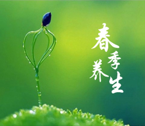 春季養(yǎng)生 第二輯