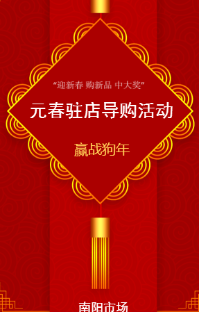 南阳市场元春驻店导购活动