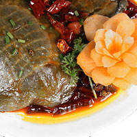 秋冬进补 餚珍堂甲鱼