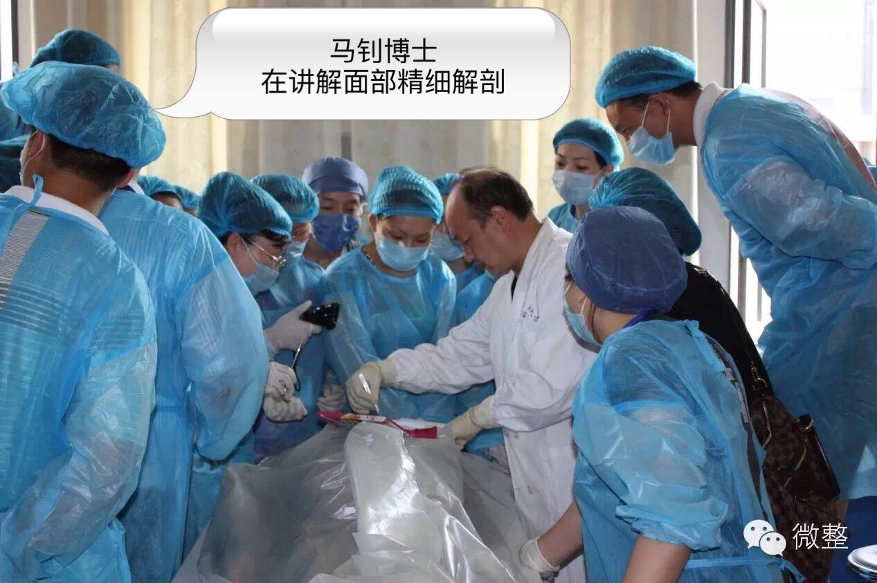 郑州站【面部精细解剖】5月28日