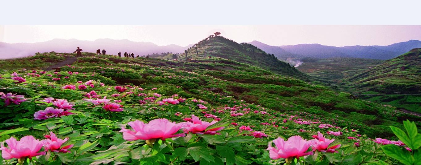 墊江樂天花谷,菩提古鎮,菩提山