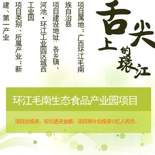 环江毛南生态食品产业园项目画板
