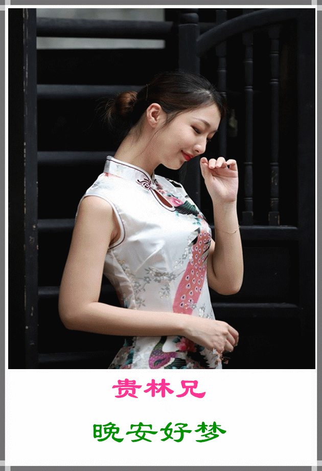 问候北京林东群友晚安好梦。背景音乐：旗袍美人。