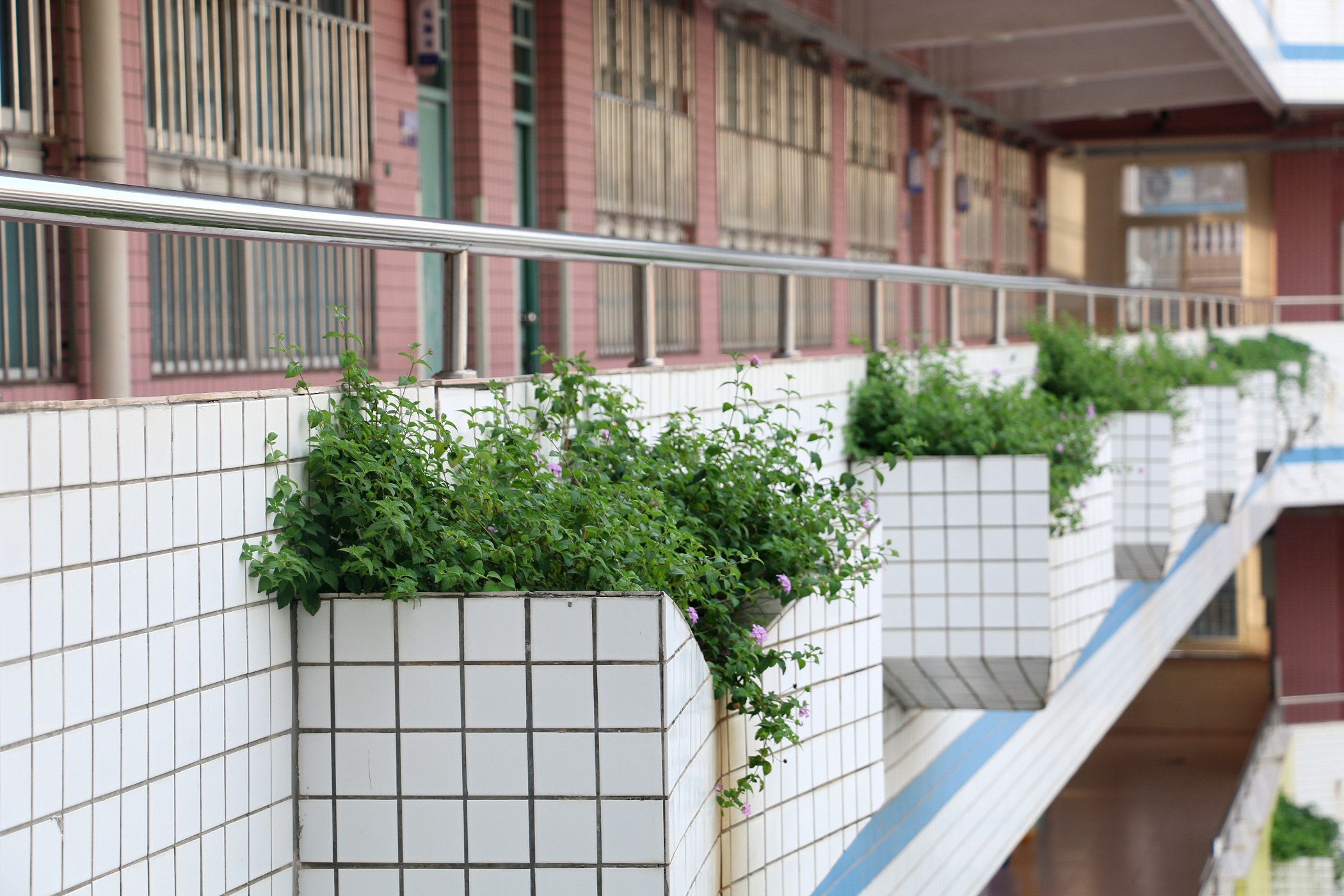 福永兴围小学教学开放日邀请函