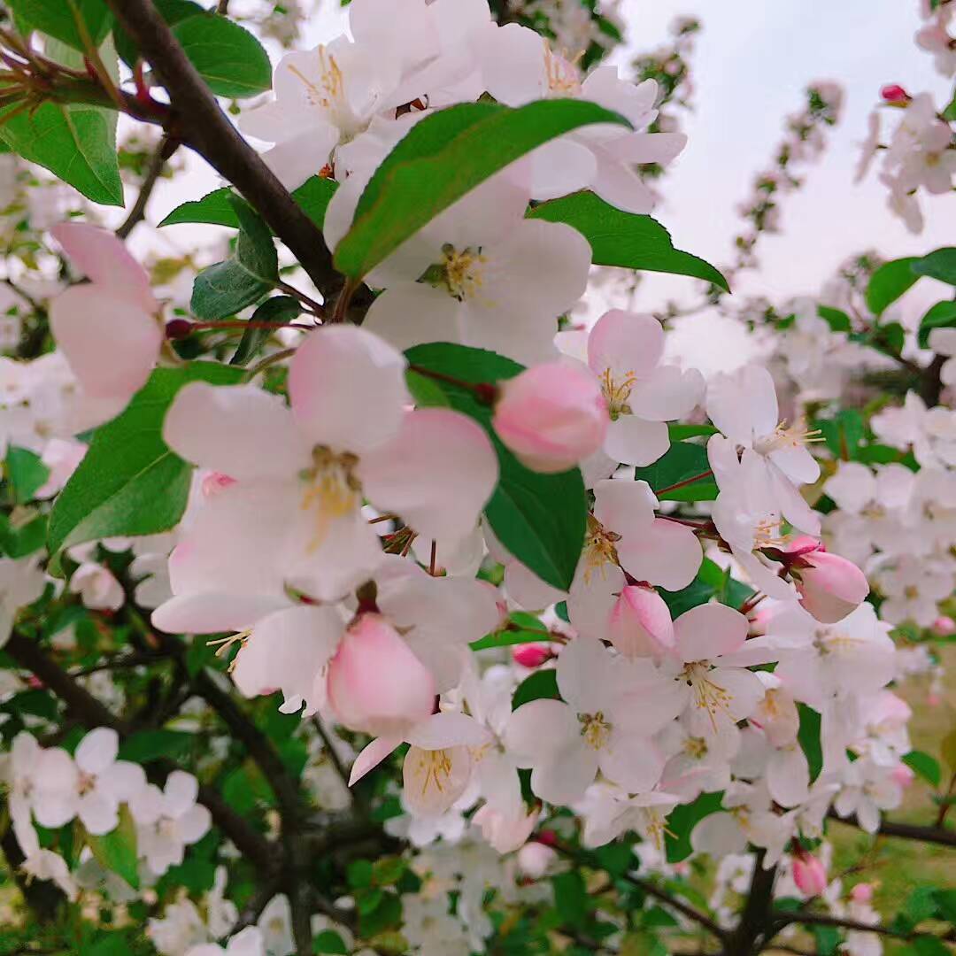 我成长，我快乐！