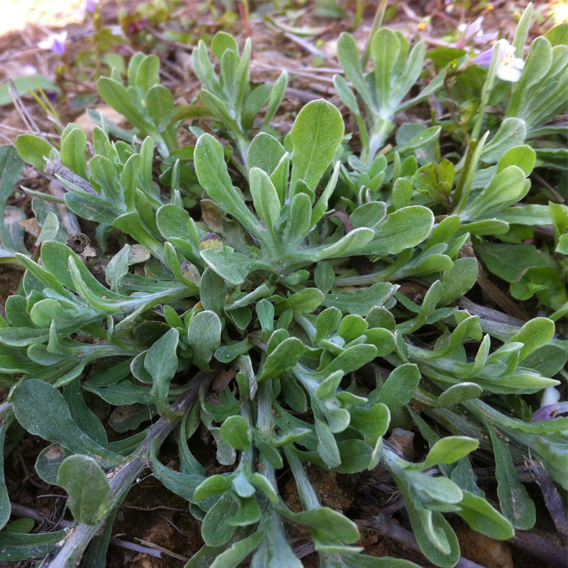 我是第323位参加此次点击的用户