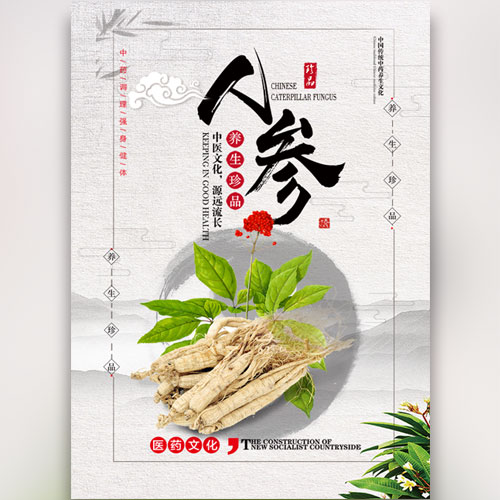 人參野山參保健品補(bǔ)品禮品活動促銷