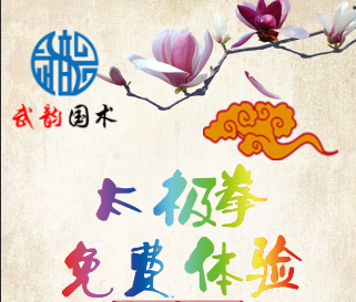 免费跟大师学太极