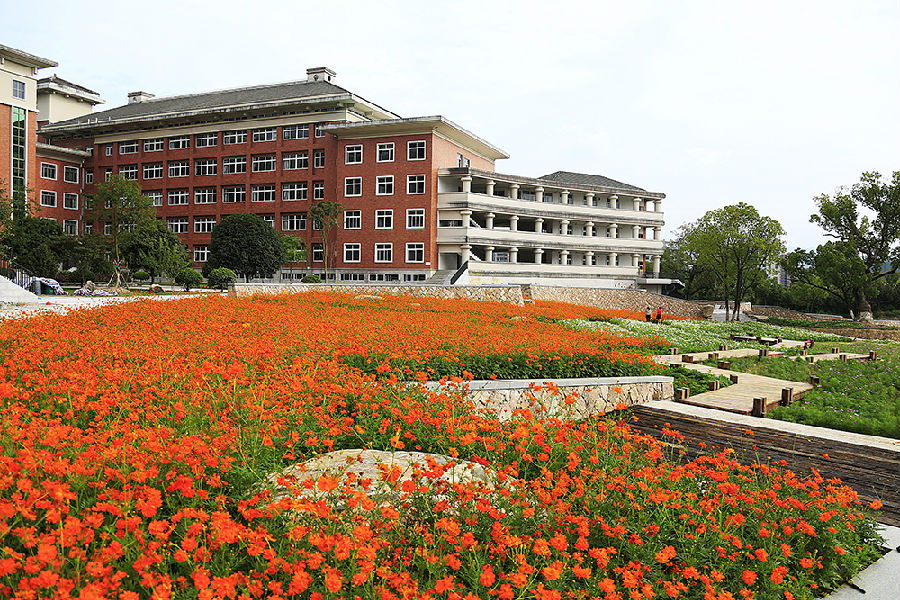 醉美丽职院