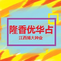 不是所有的華占都叫隆香優！