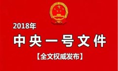 中央一号文件解读