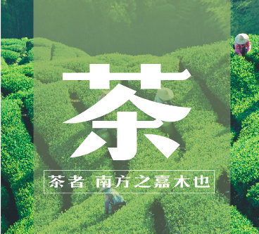 春来茶业 邀您共茗 