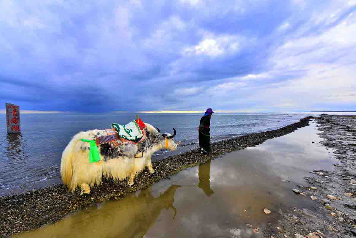 青海湖——茶卡盐湖二日品质游